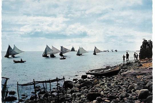 Fiskebåtar_Guadeloupe_1969,jpg